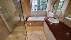 Dunearn Road (D11), Condominium #515971051